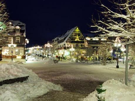 Stadtwohnung Schneeflocke Winterberg Kültér fotó